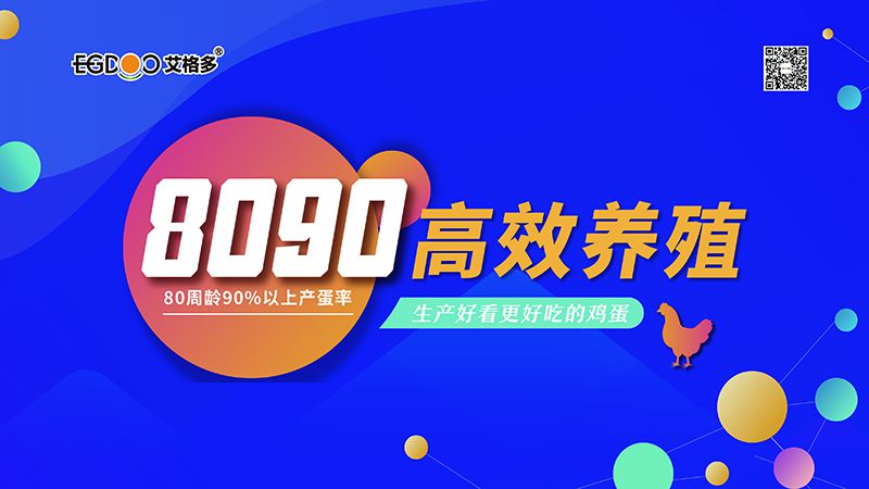 四會連開，艾格多8090高 效養殖700天唐山區域線下交流會成功舉辦