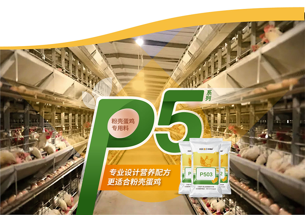 20220511粉殼蛋雞專用料P5系列_產品詳情頁_畫板 7